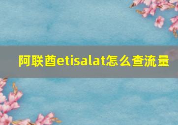 阿联酋etisalat怎么查流量