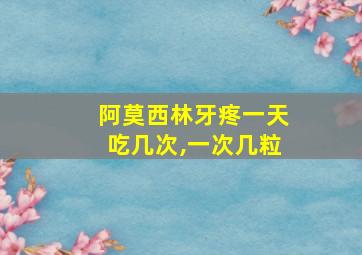 阿莫西林牙疼一天吃几次,一次几粒