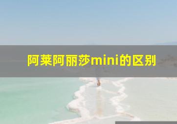 阿莱阿丽莎mini的区别