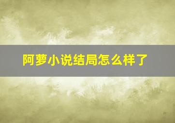 阿萝小说结局怎么样了