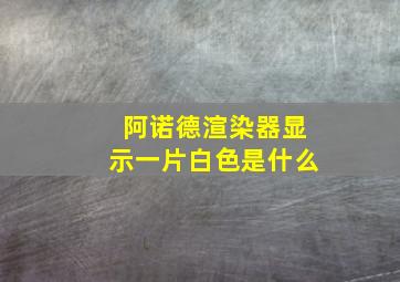 阿诺德渲染器显示一片白色是什么