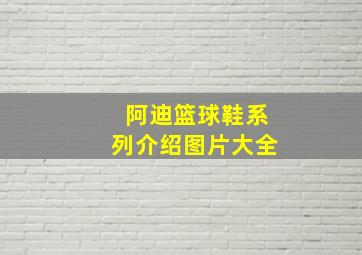 阿迪篮球鞋系列介绍图片大全