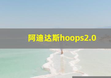 阿迪达斯hoops2.0