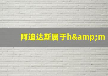 阿迪达斯属于h&m