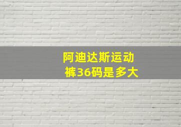 阿迪达斯运动裤36码是多大