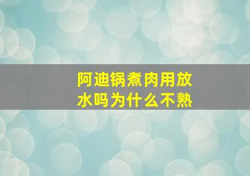 阿迪锅煮肉用放水吗为什么不熟