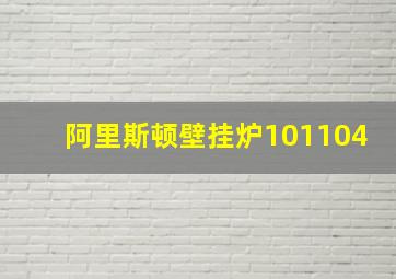 阿里斯顿壁挂炉101104