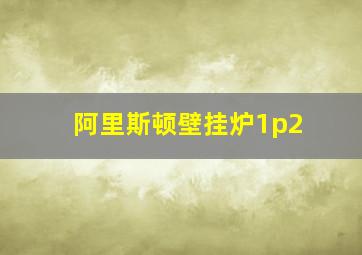 阿里斯顿壁挂炉1p2