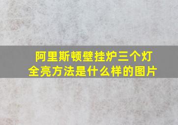 阿里斯顿壁挂炉三个灯全亮方法是什么样的图片