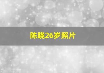 陈晓26岁照片