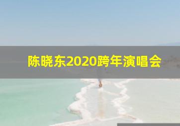 陈晓东2020跨年演唱会