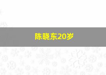 陈晓东20岁