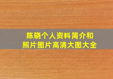 陈晓个人资料简介和照片图片高清大图大全