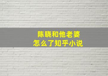 陈晓和他老婆怎么了知乎小说