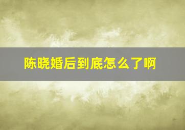 陈晓婚后到底怎么了啊