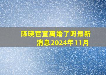 陈晓官宣离婚了吗最新消息2024年11月