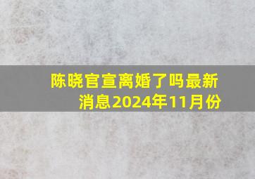 陈晓官宣离婚了吗最新消息2024年11月份