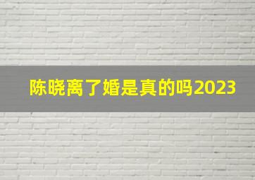 陈晓离了婚是真的吗2023