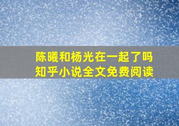 陈曦和杨光在一起了吗知乎小说全文免费阅读