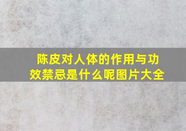 陈皮对人体的作用与功效禁忌是什么呢图片大全