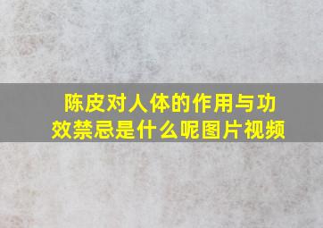 陈皮对人体的作用与功效禁忌是什么呢图片视频