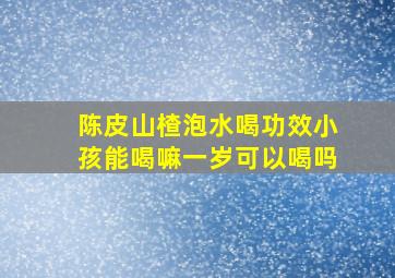 陈皮山楂泡水喝功效小孩能喝嘛一岁可以喝吗