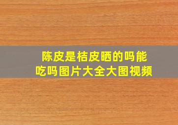 陈皮是桔皮晒的吗能吃吗图片大全大图视频