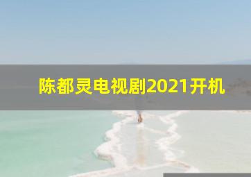 陈都灵电视剧2021开机