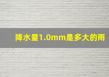 降水量1.0mm是多大的雨