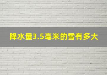 降水量3.5毫米的雪有多大