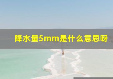 降水量5mm是什么意思呀