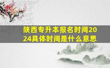 陕西专升本报名时间2024具体时间是什么意思