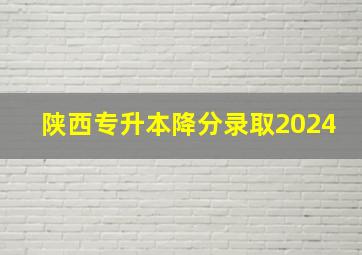 陕西专升本降分录取2024