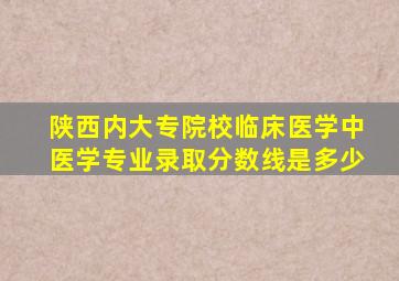 陕西内大专院校临床医学中医学专业录取分数线是多少