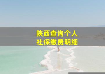 陕西查询个人社保缴费明细