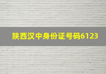 陕西汉中身份证号码6123