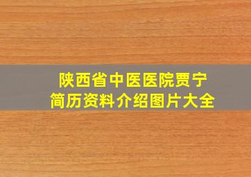 陕西省中医医院贾宁简历资料介绍图片大全