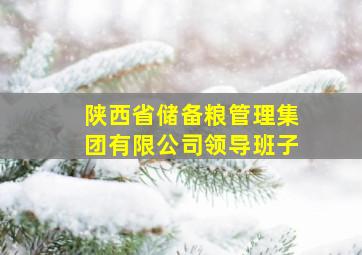 陕西省储备粮管理集团有限公司领导班子