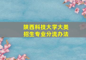 陕西科技大学大类招生专业分流办法