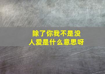 除了你我不是没人爱是什么意思呀