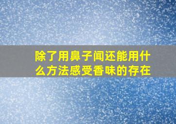 除了用鼻子闻还能用什么方法感受香味的存在