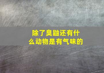 除了臭鼬还有什么动物是有气味的