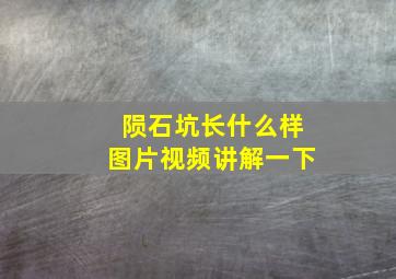 陨石坑长什么样图片视频讲解一下