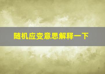 随机应变意思解释一下