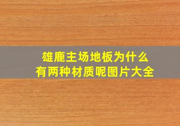 雄鹿主场地板为什么有两种材质呢图片大全