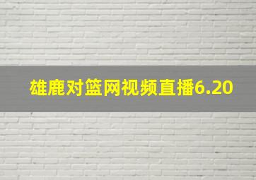 雄鹿对篮网视频直播6.20