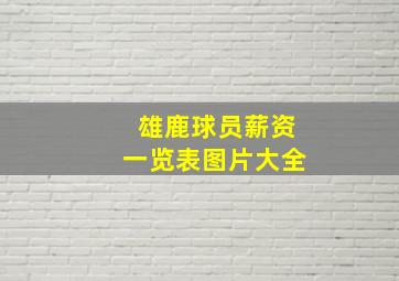 雄鹿球员薪资一览表图片大全