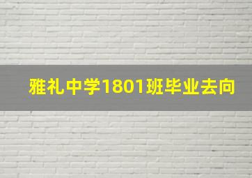 雅礼中学1801班毕业去向