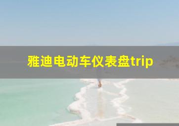 雅迪电动车仪表盘trip