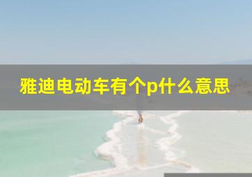 雅迪电动车有个p什么意思